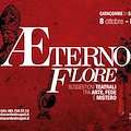 Aeterno Flore