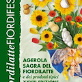 Agerola (NA) - Sagra del fiordilatte