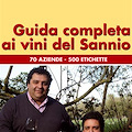 Cerreto Sannita (BN) - Guida completa ai vini del Sannio