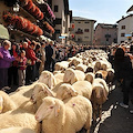 Devétéya de Cogne