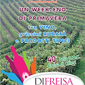 DI FREISA IN FREISA - Quarta edizione