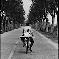 Elliott Erwitt/ Icons