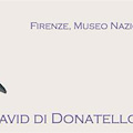 Firenze - Il David restaurato