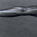 Firenze - Robert Mapplethorpe. La “Perfezione nella Forma”