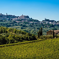 Forbes: Montepulciano al primo posto delle mete internazionali del vino