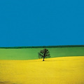 FRANCO FONTANA FULL COLOR