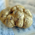 Grinzane Cavour (CN) - Alba White Truffle Award e Tartufi nel Mondo 