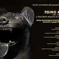 Il Felino Alato