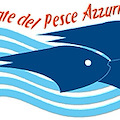 Le giornate del pesce azzurro