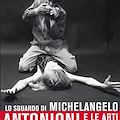 Lo sguardo di MICHELANGELO. ANTONIONI e le arti