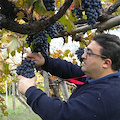 Luigi Reale alla Prova del Cuoco