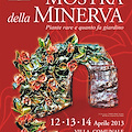 Mostra della Minerva 2013