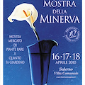 Mostra della Minerva