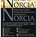 Nero Norcia