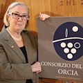 Orcia Doc: i vini del Vulcano la rivelazione dell’ultimo decennio