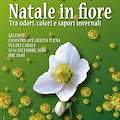 Salerno - Natale in Fiore