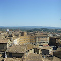 Siena