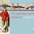 UN EGITTOLOGO GARIBALDINO MILANESE: LUIGI VASSALLI BEY